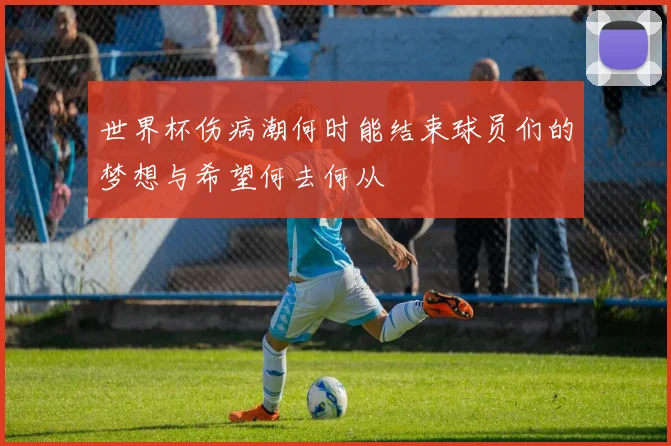 世界杯伤病潮何时能结束球员们的梦想与希望何去何从